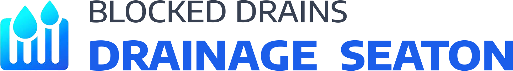 website logo